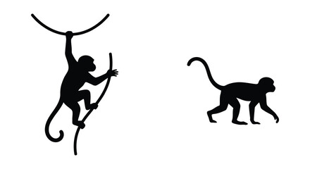 Two monkey silhouettes depicting climbing and walking poses against a white background silhouette monkeys primate © Mama