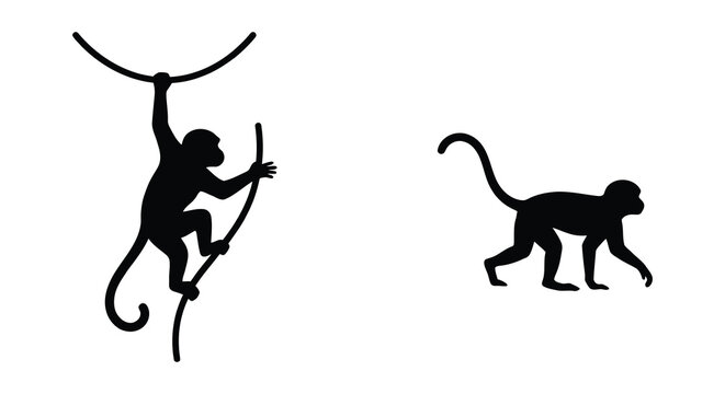 Two monkey silhouettes depicting climbing and walking poses against a white background silhouette monkeys primate