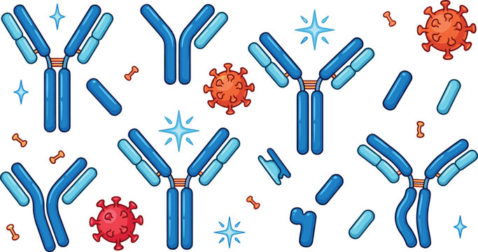 Antibody Immunoglobulin Structures and Coronavirus Pathogen Vector Set for Immune System Diagrams, Medical Science Education, and Healthcare Infographic Designs