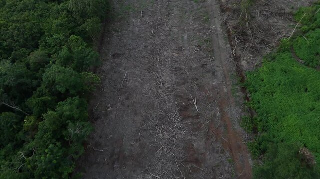 Tropical plantation land that has been cleared following deforestation shows land clearing and soil disturbance.