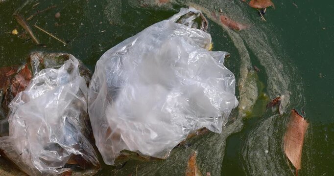 Plastic bag floating in water, pollution and plastic waste crisis, impacting ecosystems and marine life, ideal for awareness and sustainability themes