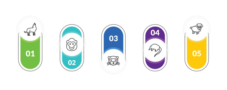outline animals icons set - coyote, ape, desman, male sheep. editable vector for web and mobile ui