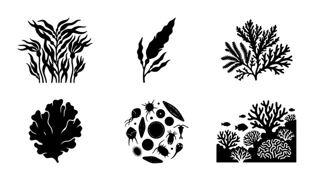 Marine Algae Vector Icons, Seaweed Silhouettes, Ocean Plant Graphics, Underwater Flora Collection