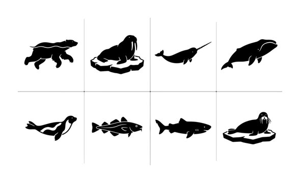 Arctic Wildlife Icons, Polar Bear, Walrus, Narwhal, Seal, Fish, Shark Vector Set, Marine Mammals and Ocean Creatures Silhouette Collection
