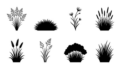 Vector Grass Silhouettes Collection, Diverse Plant Shapes for Nature Design, Botanical Elements Set, Black and White Vegetation Graphics © Shaila
