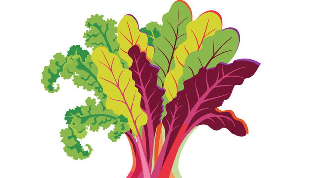 Vibrant bunch of colorful curly kale leaves isolated