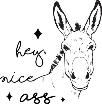 Funny donkey head vector illustration with hey nice ass text, humorous farm animal line art, sarcastic mule pun graphic for t-shirt design
