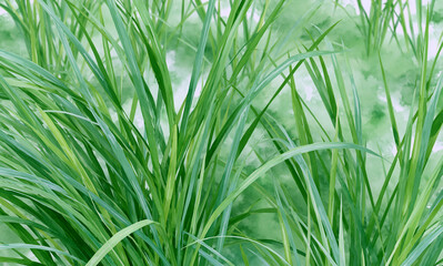 Naklejka premium grass texture map for a flat object plane, the texture map is done in water color art