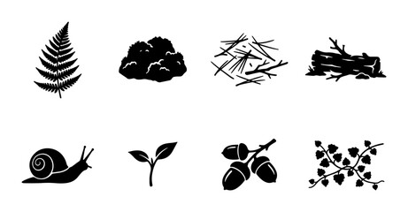 Nature Elements Vector Icons: Fern, Moss, Twigs, Logs, Snail, Sprout, Acorns, Vine Collection for Organic Design, Woodland Themes, Eco-friendly Graphics © Kazi