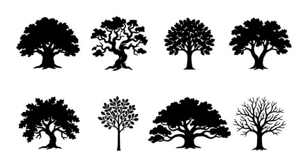 Diverse Tree Silhouettes Collection, Nature Elements Vector Graphics, Organic Shapes for Design Projects, Woodland and Forest Icons © Maruf