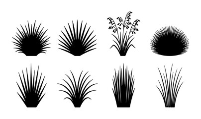 Set of 8 Black Silhouette Grasses and Plants, Vector Icons for Landscape Design, Garden Elements, Nature Graphics © Jannatul