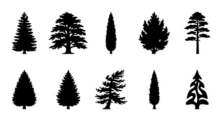 Coniferous Tree Silhouettes Vector Set, Evergreen Forest Icons, Pine and Fir Shapes for Nature Design Elements, Woodland Graphics © Jannatul