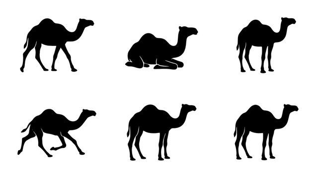Camel Silhouettes Collection, Desert Animal Icons, Dromedary Vector Graphics, Wildlife Set, Black and White Animal Poses