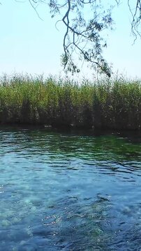 Azmak River in Akyaka village of Mugla. Cold water during the hot summer season. A popular tourist destination. Landscape. 4k vertical video. No people, nobody.