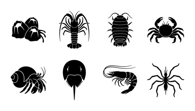 Marine Life Icons Set: Crustaceans, Shellfish, and Aquatic Invertebrates Vector Collection for Seafood and Oceanography