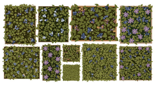 Seamless flat vector texture of a community corridor vertical garden, top view. Features a mix of native blueberries, huckleberries, and climbing vines like Clematis. Warm, personal visual style.