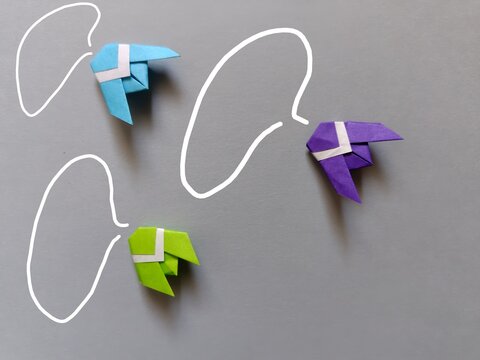 260517143311039
Colorful cicadas of paper craft and speech bubbles.