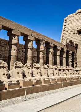 Famous alley of Karnak sphinxes with a Goat heads in Karnak Temple Complex, Luxor, Egypt. 