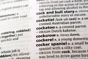 Fototapeta premium Definition Of English Dictionary Close Up Of Page With Word - cockatoo