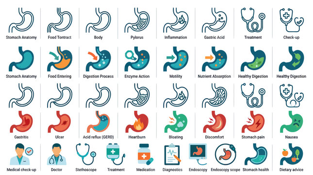 Gastroenterology medical icons showing stomach anatomy and digestion