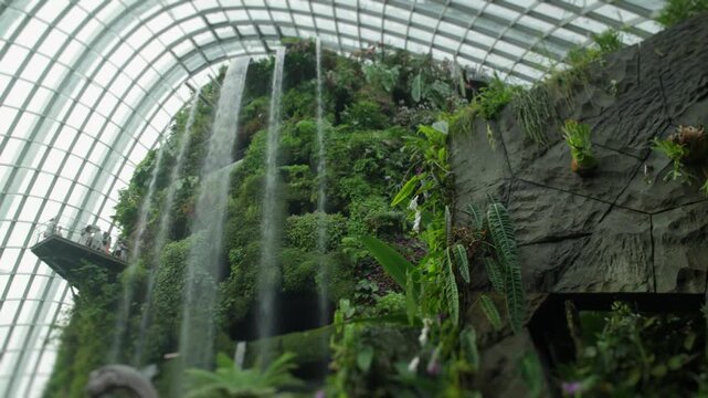 People watching the huge waterfall in cloud forest singapore