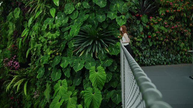 Woman admiring a lush vertical garden green wall