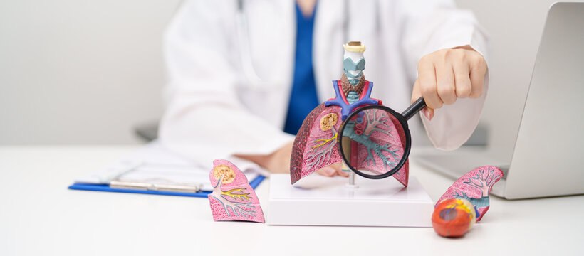 Doctor with Smoker and normal Lung anatomy for Disease. Lung Cancer, Asthma, Chronic Obstructive Pulmonary or COPD, Bronchitis, Emphysema, Cystic Fibrosis, Bronchiectasis, Pneumonia and world Lung day