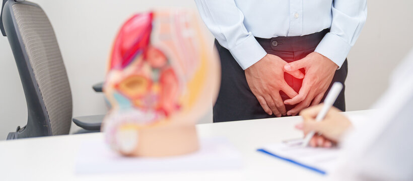 Doctor with Male Reproductive System anatomy model. Male consultation, Prostate Cancer, Enlarged prostate, Prostatitis disease, Male Infertility, Erectile dysfunction, Penis and Male genital disorder