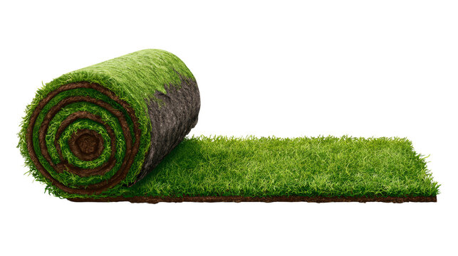 Realistic Roll of Sod with Grass and Soil Underside