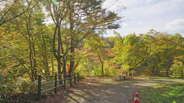 紅葉の名所 秋の鳴子峡の風景　Autumn scenery of Naruko Gorge, a famous spot for autumn foliage.