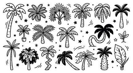 Fototapeta premium Various hand-drawn tropical palm trees and plants in a doodle style, featuring different shapes and sizes on a clean white background