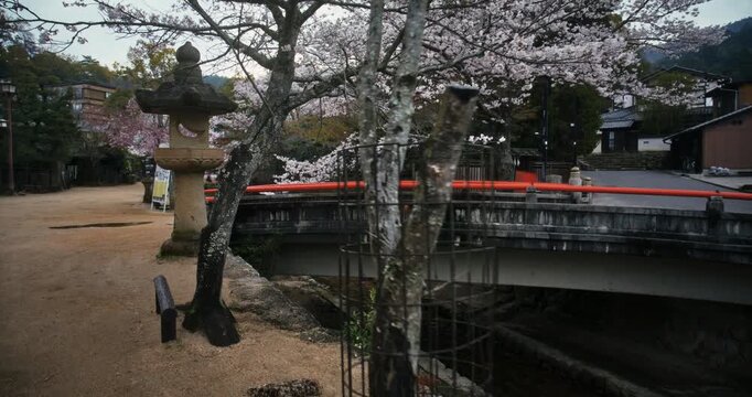 Stone Lanterns and Cherry Blossom Bridge In Hiroshima Japan - Steady Cam 