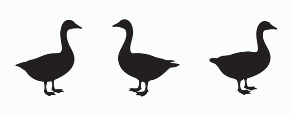 Fototapeta premium Black goose silhouettes in various standing poses, isolated on a light background, ideal for wildlife, farm, hunting, and nature-themed graphic and logo designs.