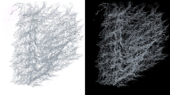 Abstract organic neural network structure, microscopic biological fiber mesh, intricate silver web texture on black and white backgrounds