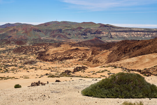 Caldera panorama with endemic retama shrub