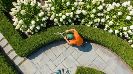 Obraz premium Gardener trimming a hedge in a landscaped garden