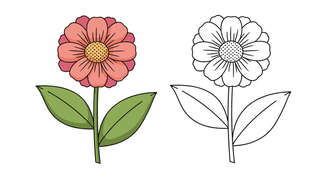 Botanical illustration of a pink zinnia flower with green leaves presented in both a fully colored version and a black and white outline for coloring.