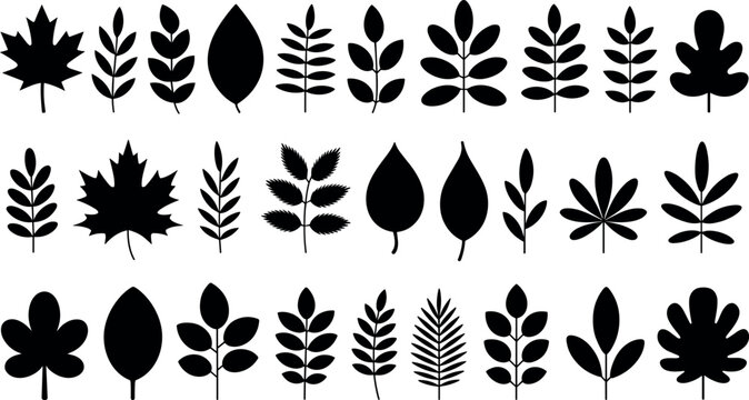 Black leaf silhouette collection vector set with various isolated plant leaves, maple foliage, forest branches, and autumn flora shapes.