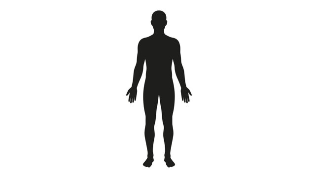 Male human body silhouette standing in anatomical position