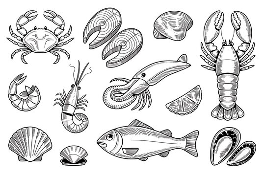 Black and white seafood sketches high resolution picture