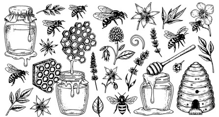 Apiary elements set hand drawn bees and honey production with honeycomb, handdrawn © Kapilbiswas