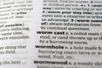Fototapeta premium Close Up English Dictionary Page With The Word Translation Of - worm cast