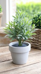 Fototapeta premium Small Artificial Potted Plant with Silver Green Leaves on Wooden Table