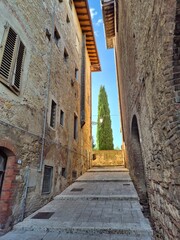 Fototapeta premium Cypress tree in Tuscany, Italy, seen from a medieval alley and stone stairs
