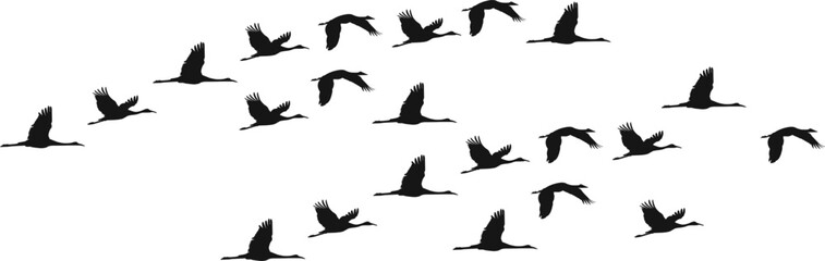Obraz premium Flock of birds silhouette illustration. Minimalist bird migration and nature landscape design elements.