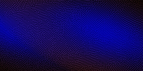 Obraz premium Abstract Reaction-diffusion Turing pattern natural texture blue gradient color scheme. Linear design with biological algorithm psychedelic background. Reaction-diffusion or truing patter