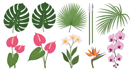 Fototapeta premium Tropical botanical collection features various lush green palm leaves and exotic flowers such as orchids, bird of paradise, and pink anthuriums.