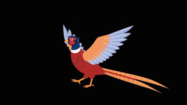 2D Animated Common Pheasant Bird Flapping Wings Isolated on Black Background