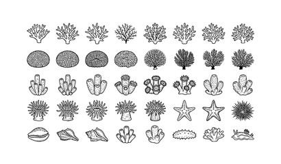 Coral Reef Line Art Icon Set with Marine Invertebrates and Ocean Ecosystem Vector Elements © Shaon