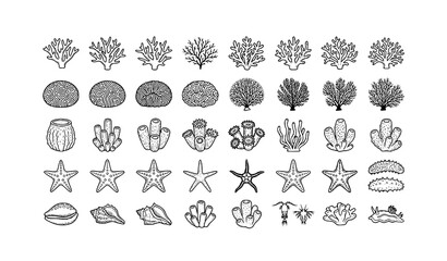 Ocean Coral Reef Line Art Icon Pack with Detailed Marine Organisms and Ecosystem Elements © Shaon